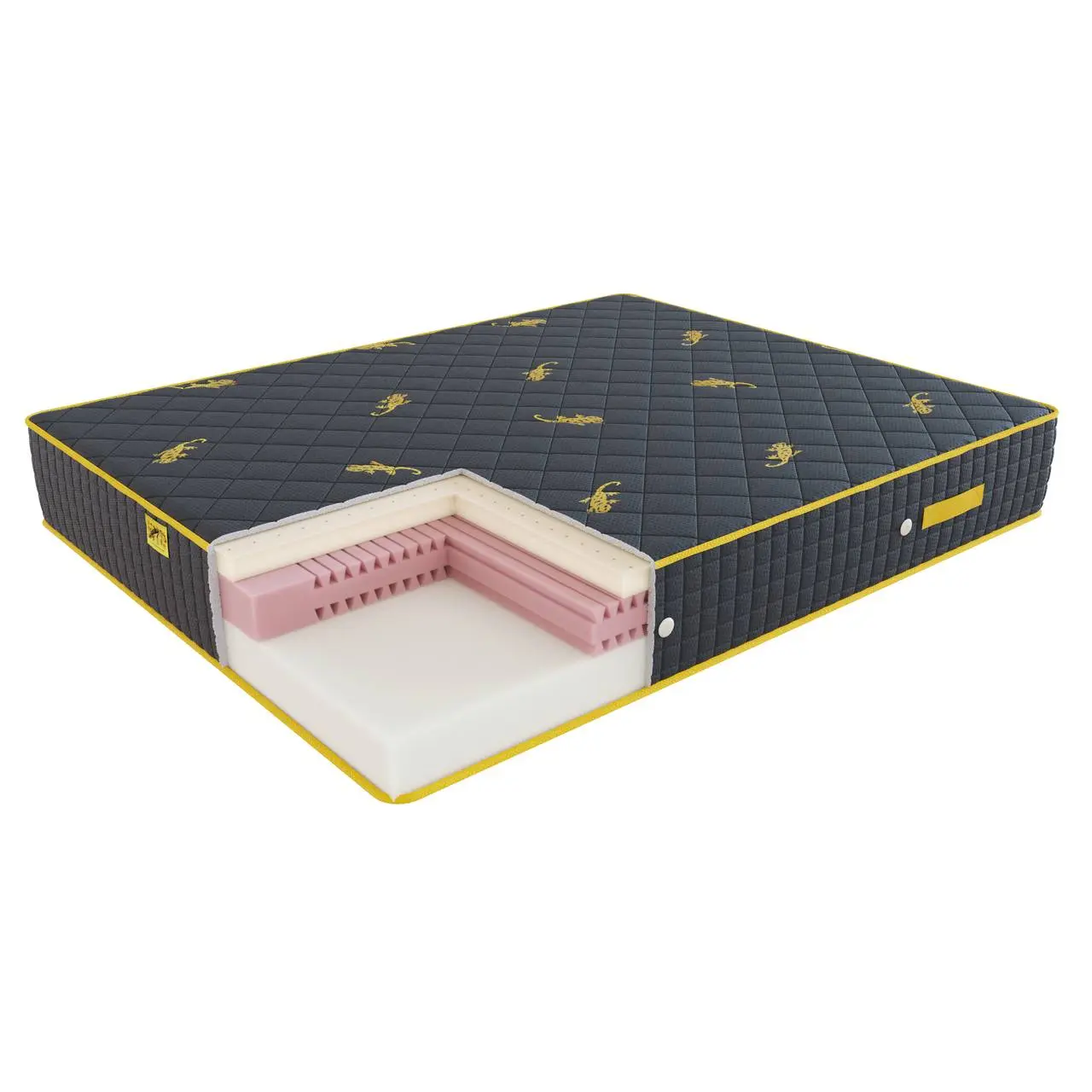 salamander-latex-6.7db4ed3b-opt-1920