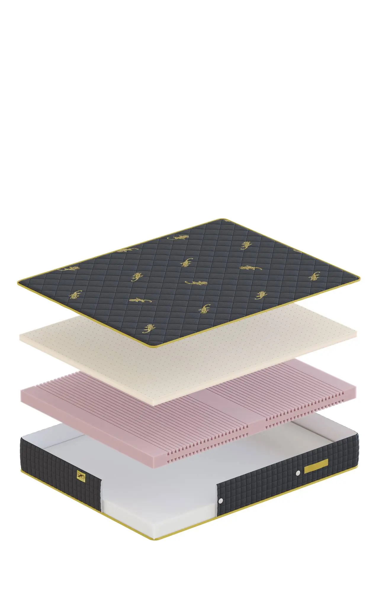 salamander-latex-7.abbff260-opt-1920